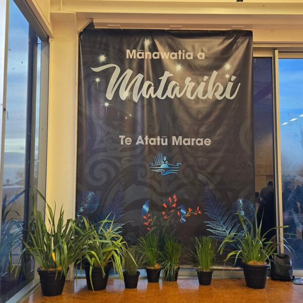 Matariki tohu